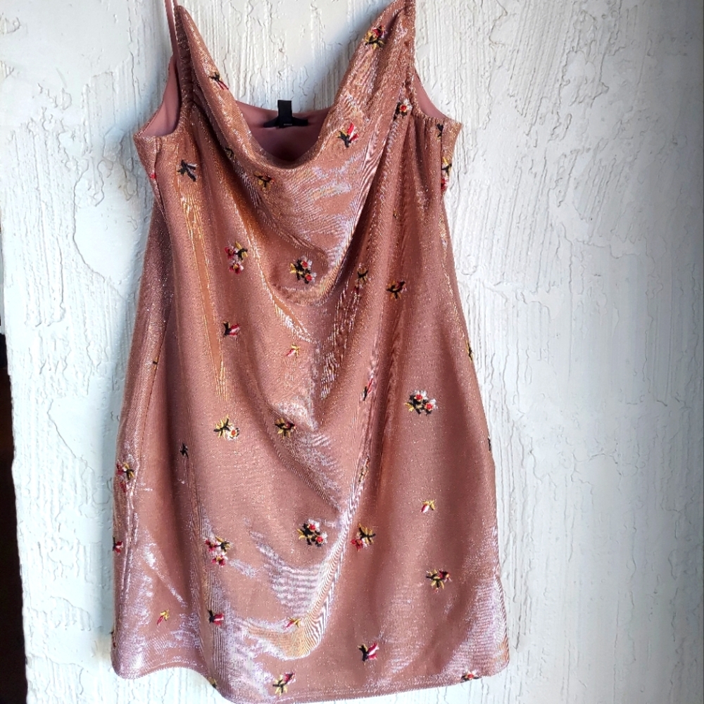 Topshop flower embroidered dress
